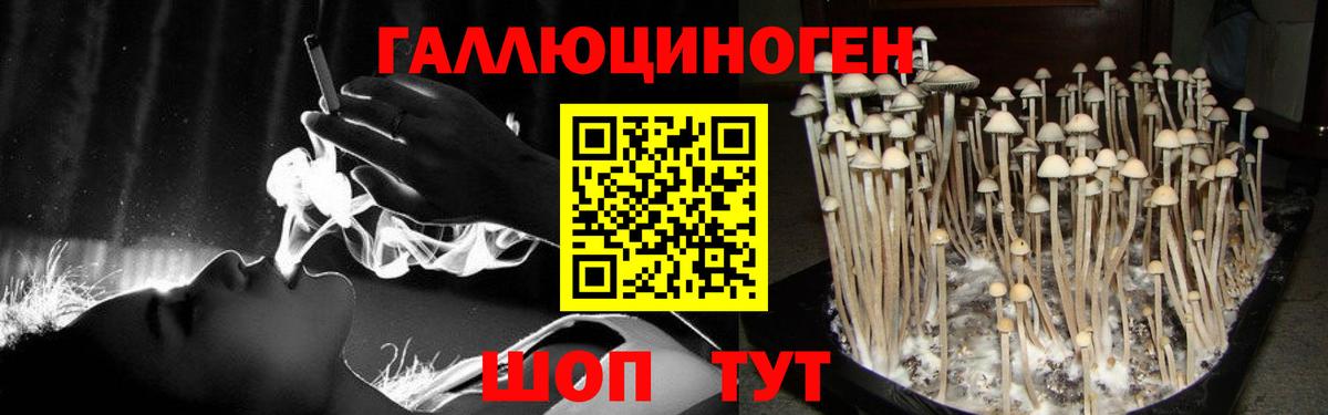 Псилоцибиновые грибы Magic Shrooms Шебекино